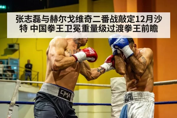 张志磊与赫尔戈维奇二番战敲定12月沙特 中国拳王卫冕重量级过渡拳王前瞻