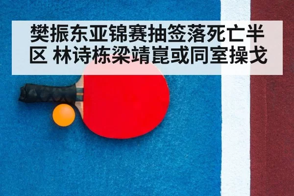 table tennis racket ball