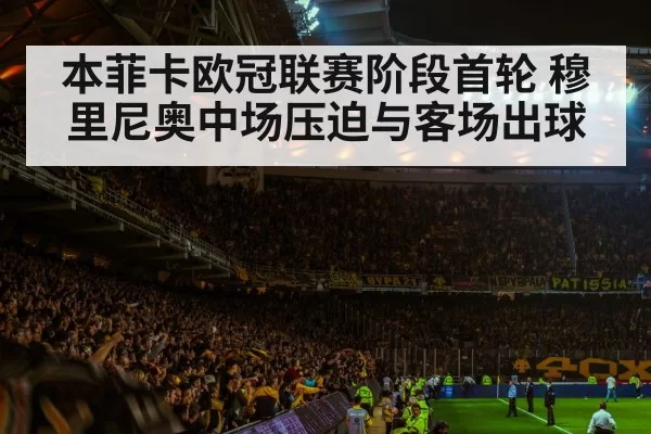 football stadium night crowd